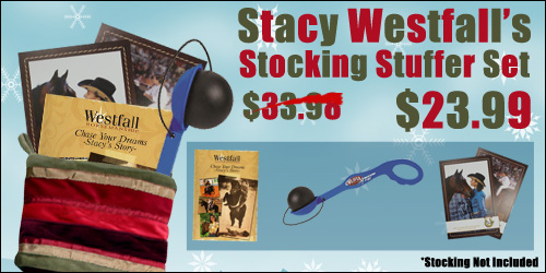 stacy_stocking_banner