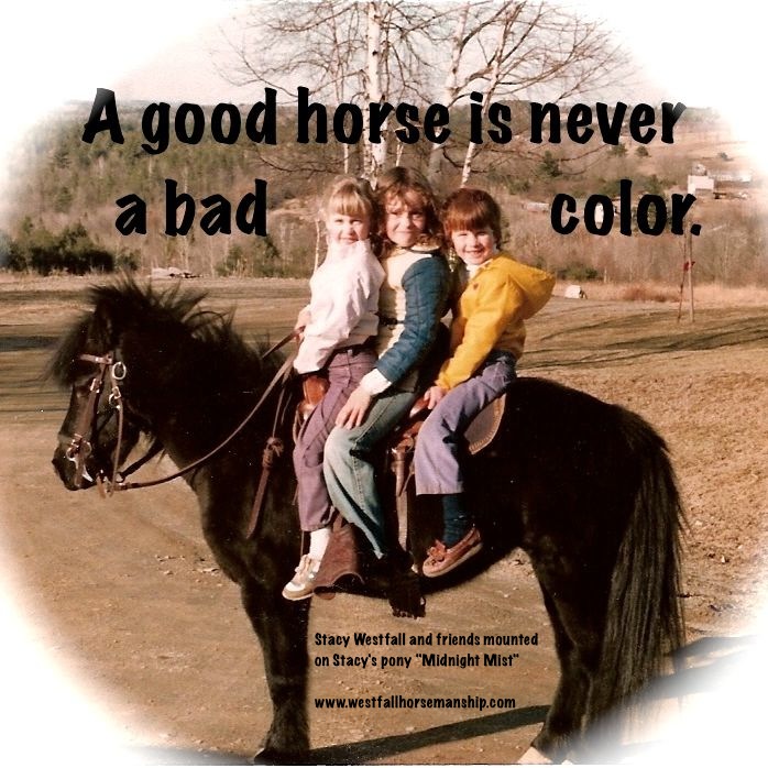 A good horse is never a bad color.