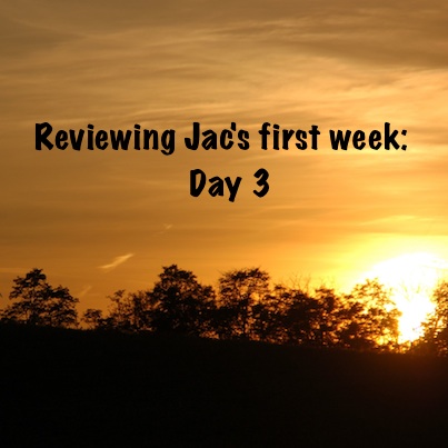 Jac Day by Day Review; Day 3