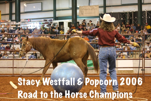 Stacy Westfall & Popcorn 2006 Road to the Horse