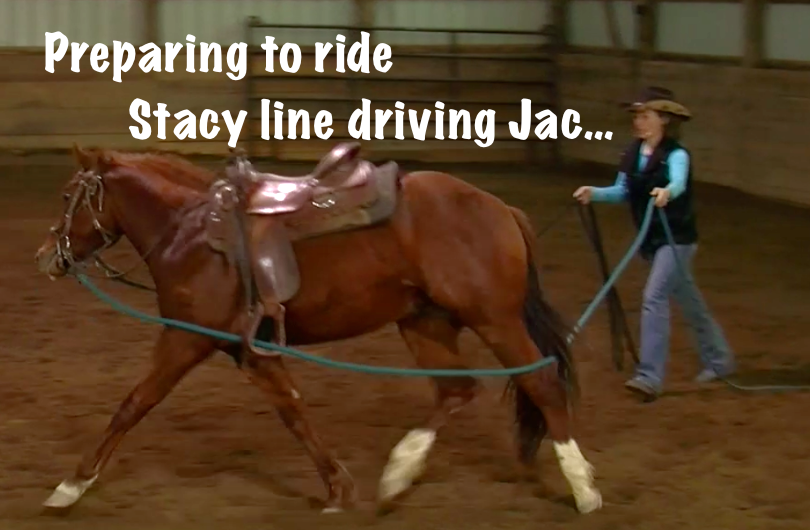 Stacy Westfall colt starting line driving ground work