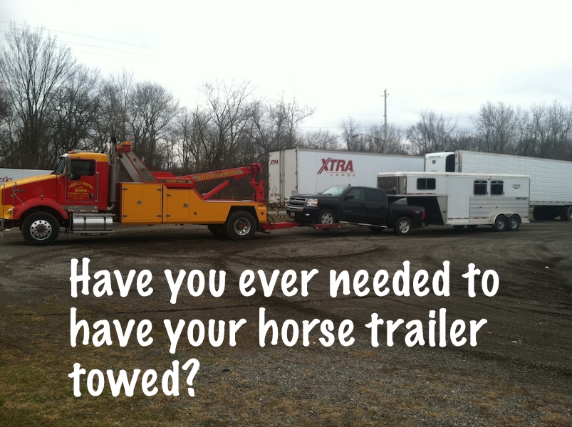 tow  horse trailer