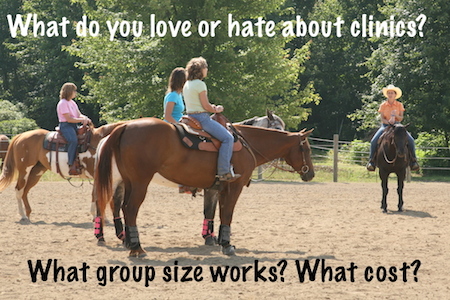 What do you love or hate about horse clinics?