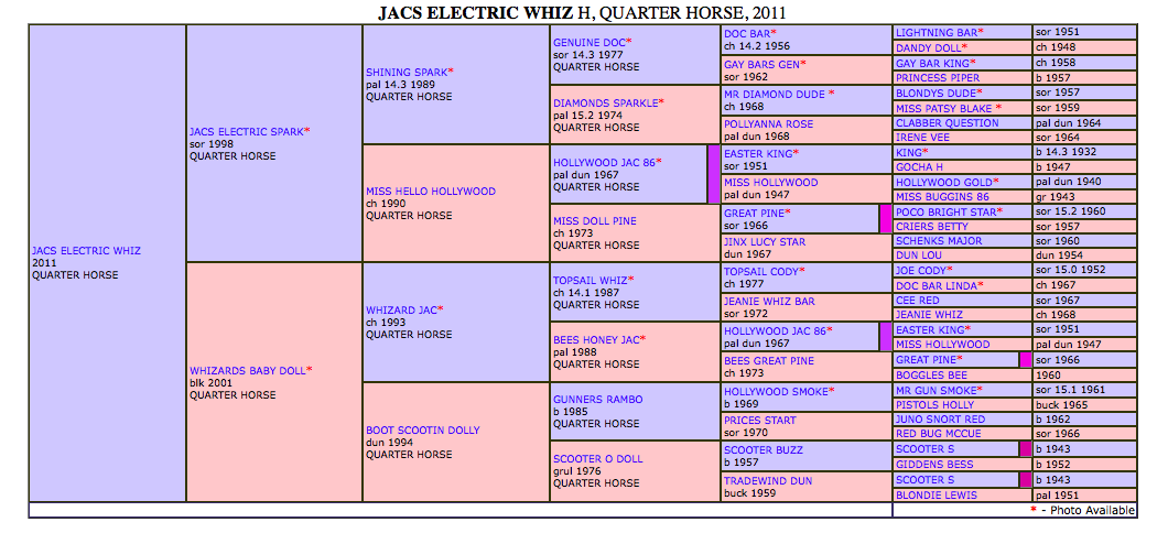 Jacs Electric Whiz pedigree
