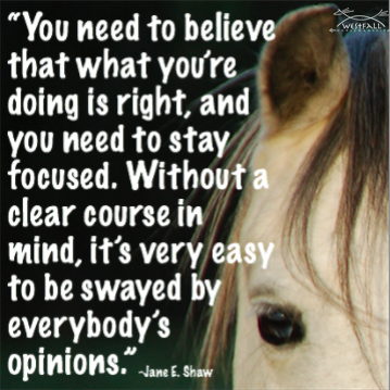 You need to believe that what you're doing is right, and you need to stay focused. Without a clear course in ind, it's very easy to be swayed by everybody's opinions.-Jane E. Shaw