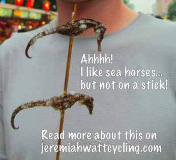 sea horse on a stick in China