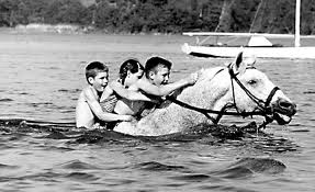 Snowman, The Eighty-Dollar Champion: Snowman, The Horse That Inspired a Nation’  swimming