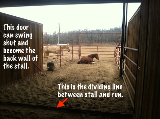 horse stall with attached run, option to shut the wall and turn into a stall