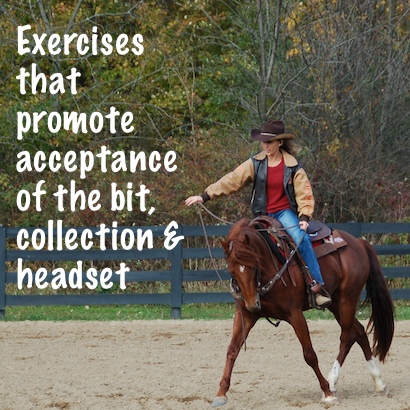 exercises that promote acceptance of the bit, collection and headset in the horse