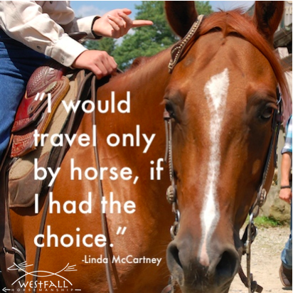 "I would travel only by horse, if I had the choice." Linda McCartney