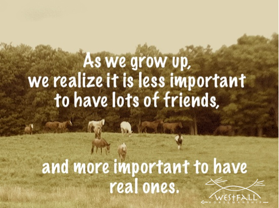 As we grow up, we realize it is less important to have lots of friends, and more important to have real ones.