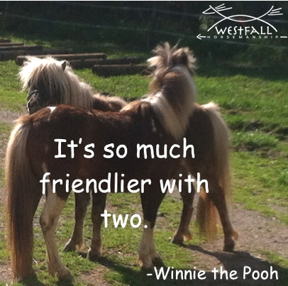It's so much friendlier with two. Winnie the Pooh