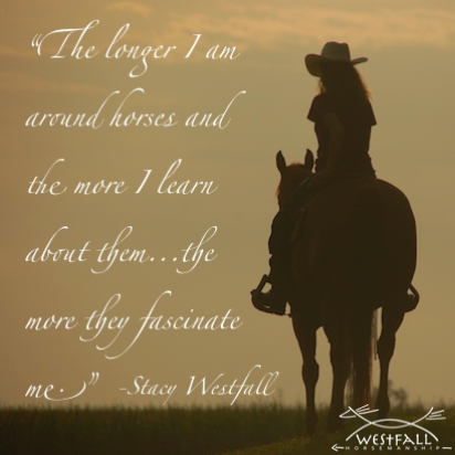 The longer I am around horses and the more I learn about them...the more they fascinate me. Stacy Westfall quote