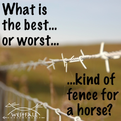 Leave a comment with your experience or your idea of the perfect fencing material.