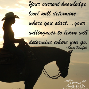 Your current knowledge level will determine where you start...your willingness to learn will determine where you go.-Stacy Westfall
