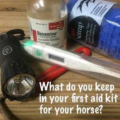 First aid kit for horses