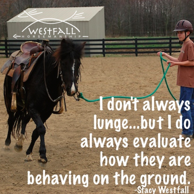 I don't always lunge, but I do always evaluate how the horse is behaving on the ground.