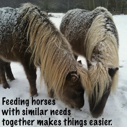 Feeding horses with similar needs together makes things easier.