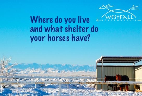 Where do you live and what shelter do your horses have?