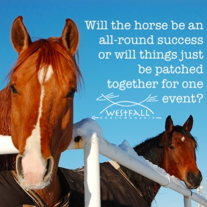 Will the horse be an all-round success or will things just be patched together for that one event?