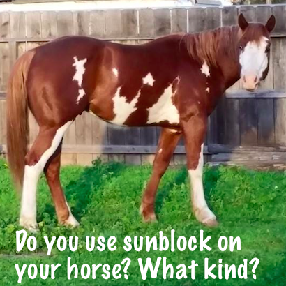 Do you know if sunblock is ok to put on a horse?