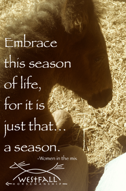 embrace this season of life for it is just that, a season.