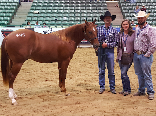 Sonny Corley with horse