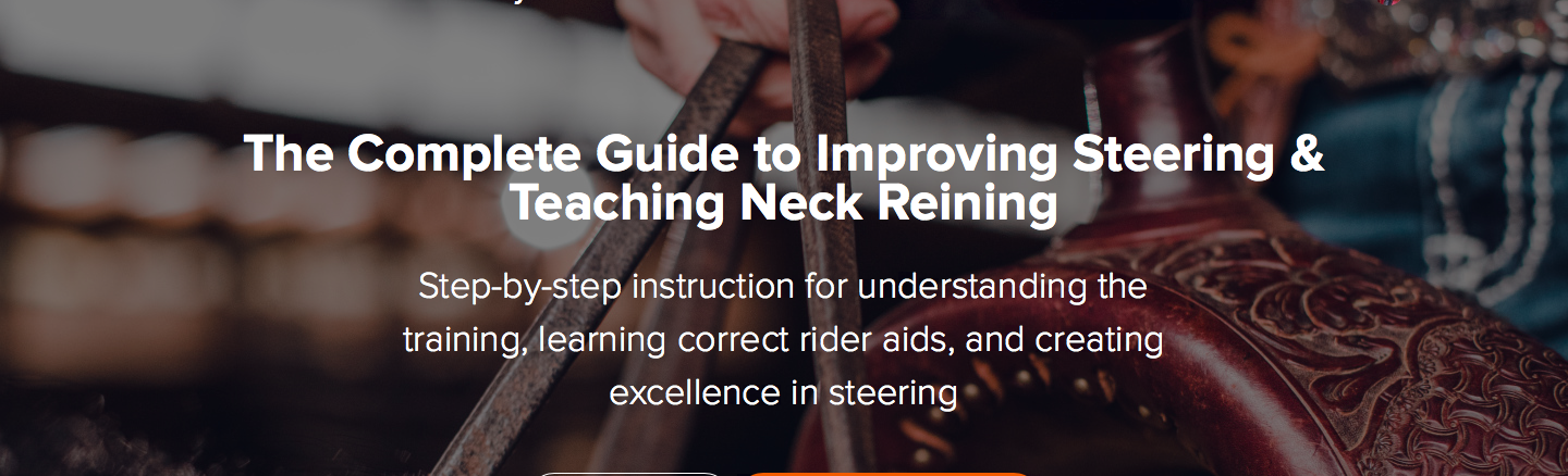 The Complete Guide to Improving Steering and Teaching Neck Reining