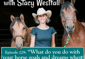 Episode 229_ “What do you do with your horse goals and dreams when life brings it to a halt?”
