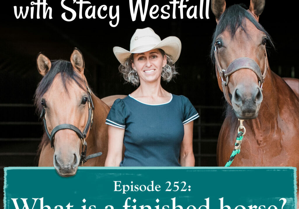 Episode 252_ What is a finished horse?