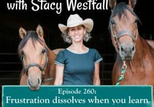 Episode 260- Frustration dissolves when you learn to structure and evaluate your rides -2